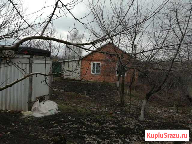 Дом 75 м² на участке 39 сот. на продажу в Волоконовке Волоконовка - изображение 2
