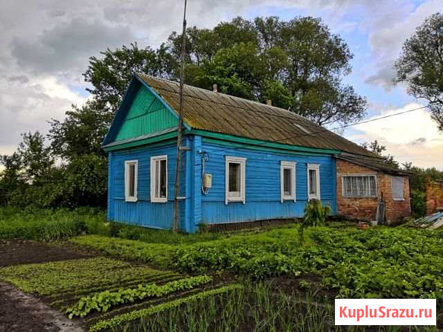 Дом 58 м² на участке 25 сот. на продажу в Погаре Погар - изображение 2