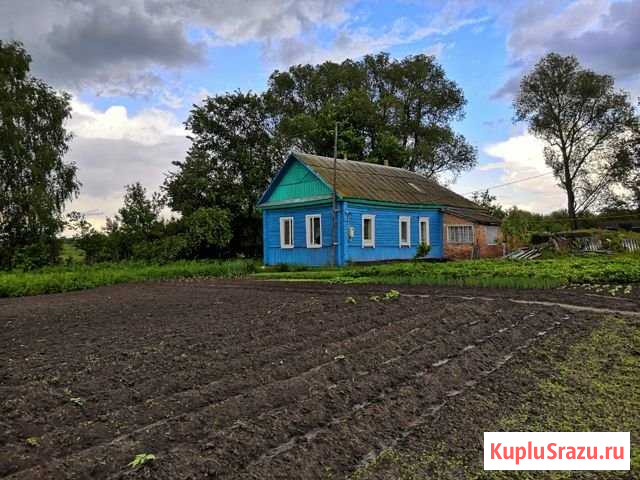 Дом 58 м² на участке 25 сот. на продажу в Погаре Погар - изображение 1