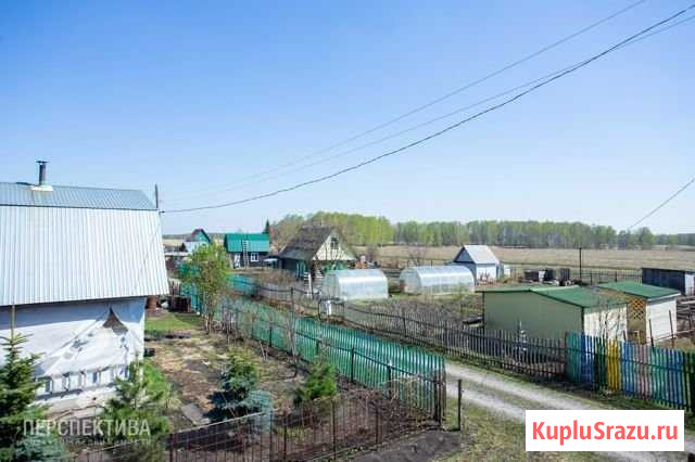 Дача 50 м² на участке 8 сот. на продажу в Кемерово Кемерово - изображение 2