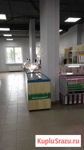 Торговое помещение, 267.7 кв.м. Ижевск - изображение 3