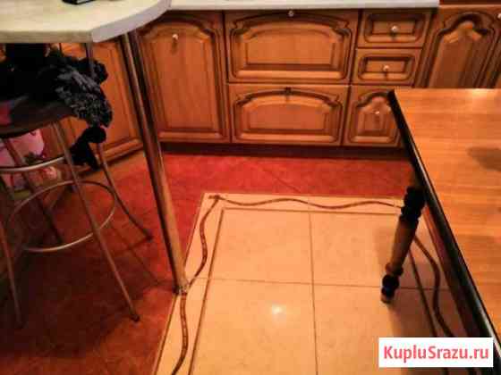 2-комнатная квартира, 51 м², 5/16 эт. на продажу в Нижневартовске Нижневартовск