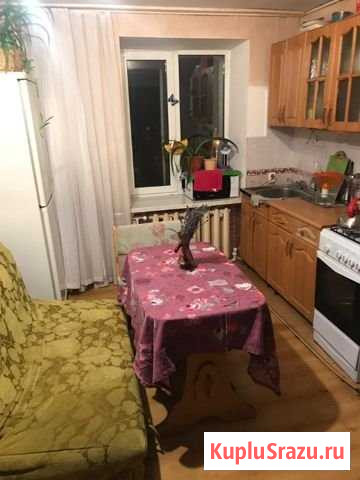 2-комнатная квартира, 46 м², 5/5 эт. на продажу в Альметьевске Альметьевск - изображение 1