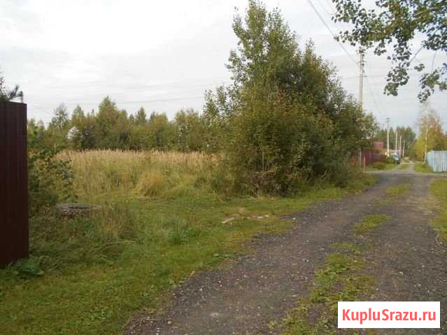 Участок СНТ, ДНП 6 сот. на продажу в Павловском Посаде Павловский Посад - изображение 2