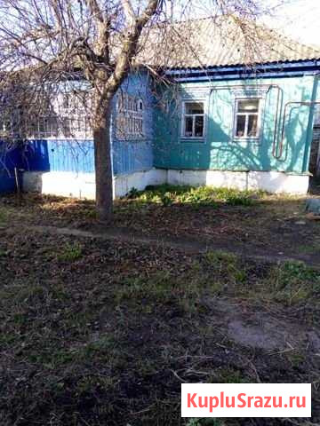 Дом 51 м² на участке 8.3 сот. на продажу в Таловой Таловая - изображение 1