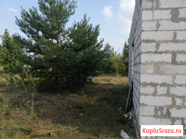 Участок ИЖС 14 сот. на продажу в Новой Усмани Новая Усмань - изображение 3
