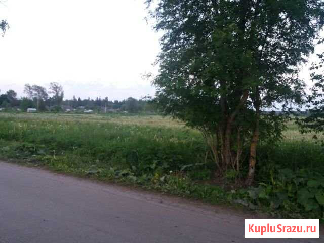 Участок ИЖС 11 сот. на продажу в Больших Колпанах Большие Колпаны - изображение 1