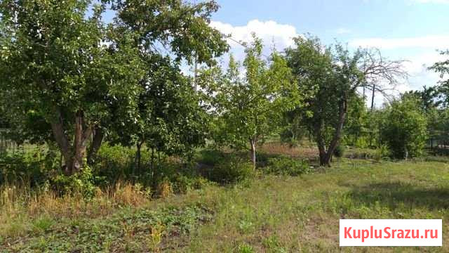 Дом 48 м² на участке 35 сот. на продажу в Липецке Липецк - изображение 2