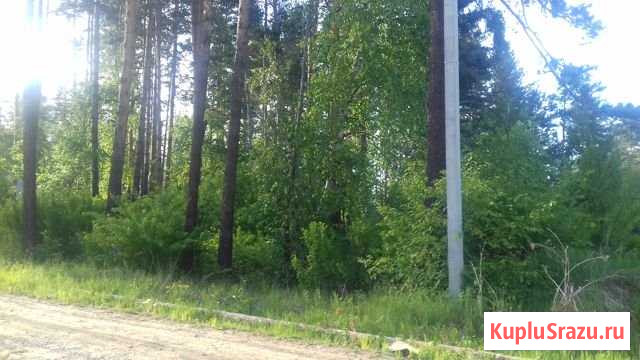 Участок СНТ, ДНП 12 сот. на продажу в Иркутске Иркутск - изображение 1