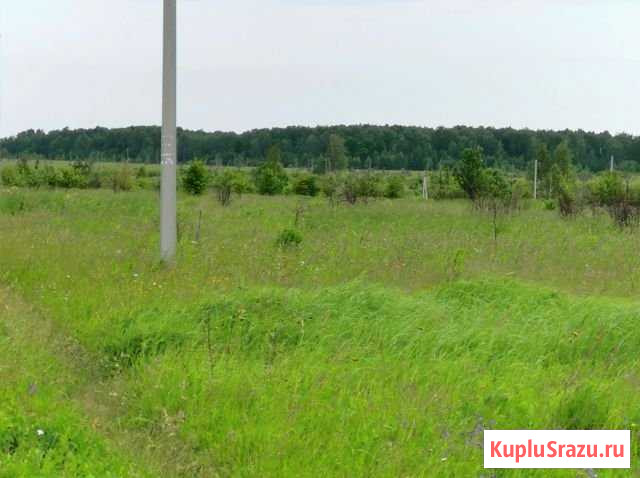 Участок ИЖС 10 сот. на продажу в Кашире Кашира - изображение 1