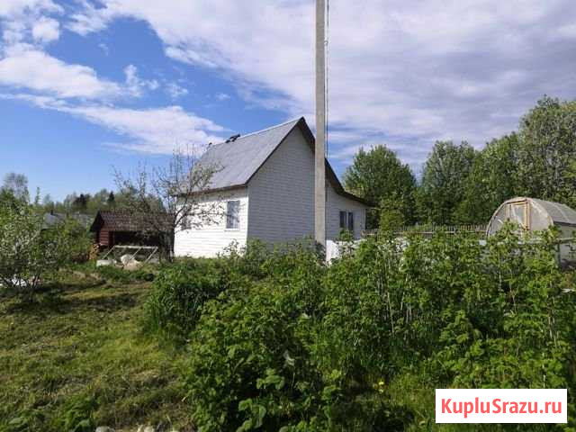 Дом 42 м² на участке 14 сот. на продажу в Череповце Череповец - изображение 2
