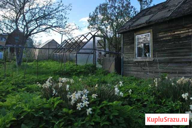 Дача 20 м² на участке 3 сот. на продажу в Кирове Киров - изображение 3