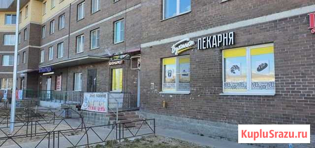 Торговое помещение, 100 кв.м. Мурино - изображение 3