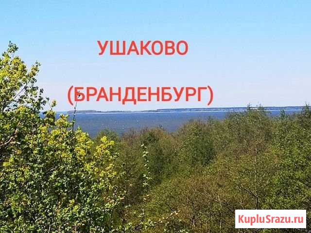 Участок ИЖС 8 сот. на продажу в Ладушкине Ладушкин - изображение 1