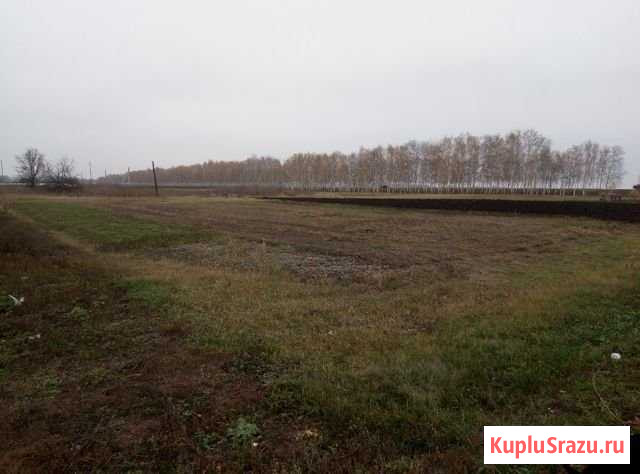 Участок СНТ, ДНП 15 сот. на продажу в Шебекино Шебекино - изображение 1