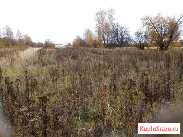 Участок ИЖС 34 сот. на продажу в Кудиново Кудиново - изображение 2
