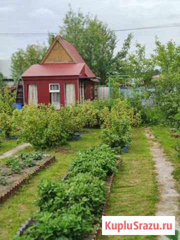 Дача 30 м² на участке 6 сот. на продажу в Сургуте Ханты-Мансийского АО Сургут - изображение 1
