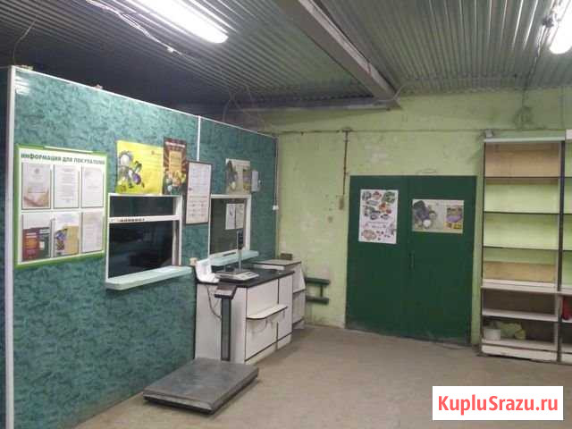 Помещение свободного назначения, 97.3 кв.м. Шексна - изображение 3