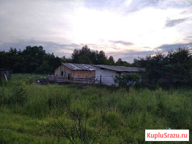 Дом 40 м² на участке 25 сот. на продажу в Грозном Грозный - изображение 1