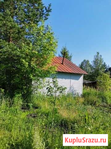Дача 25 м² на участке 16 сот. на продажу в Кирово-Чепецке Кирово-Чепецк - изображение 3