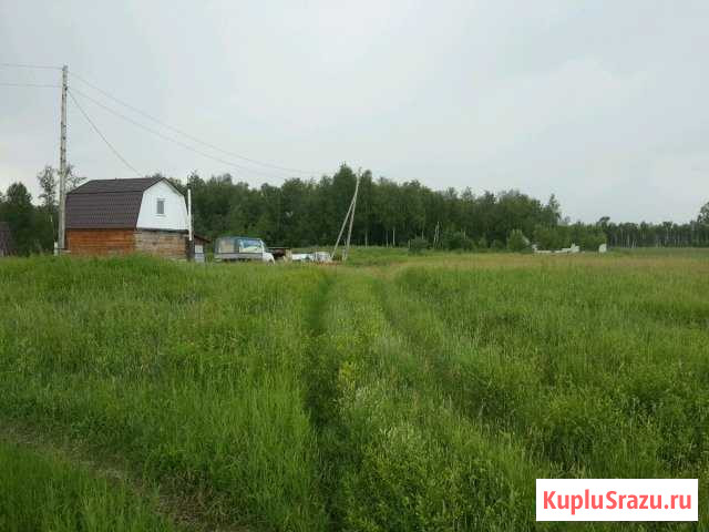 Участок СНТ, ДНП 6 сот. на продажу в Сосновоборске Красноярского края Сосновоборск - изображение 1