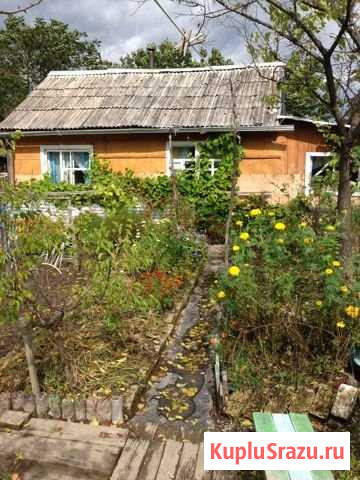 Дом 24 м² на участке 24 сот. на продажу в Вяземском Вяземский - изображение 1