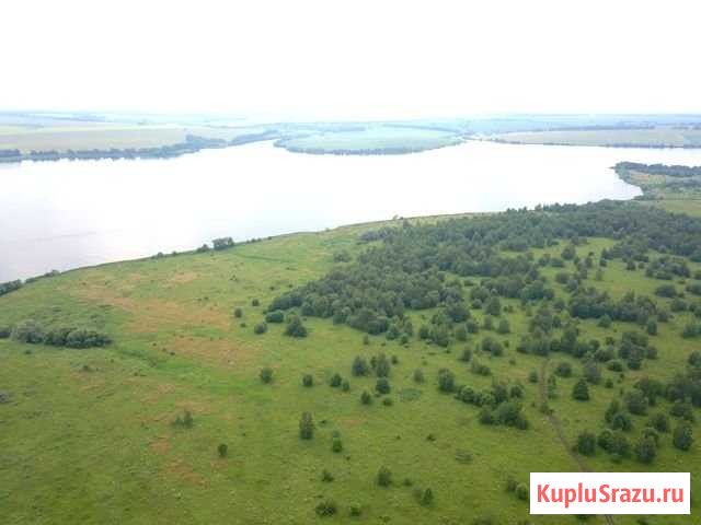 Участок СНТ, ДНП 5300 сот. на продажу в Кимовске Кимовск - изображение 1