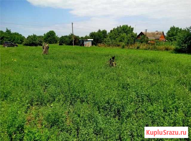 Участок ИЖС 30 сот. на продажу в Холмской Холмская - изображение 2