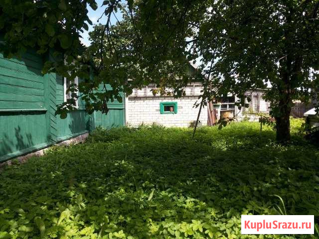 Коттедж 56.8 м² на участке 12 сот. на продажу в Стругах Красных Струги Красные - изображение 2