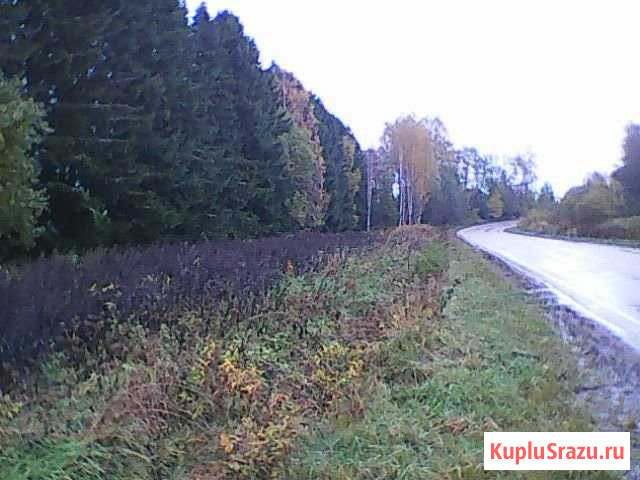 Участок ИЖС 15 сот. на продажу в Ильинском Республики Карелия Ильинский - изображение 1