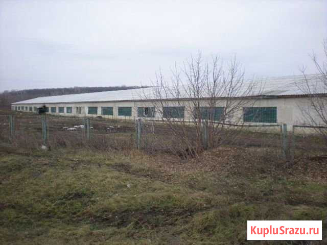 Производственное помещение Балтай, 2481 кв.м. Неверкино - изображение 1