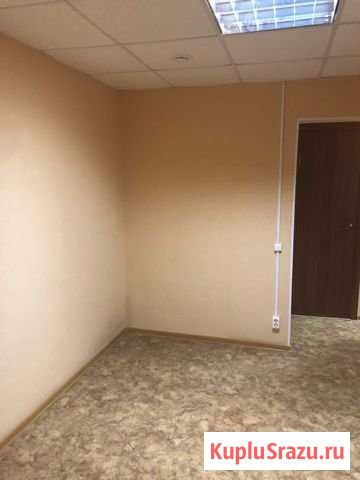 Помещение свободного назначения, 61.2 кв.м. Дзержинск - изображение 3
