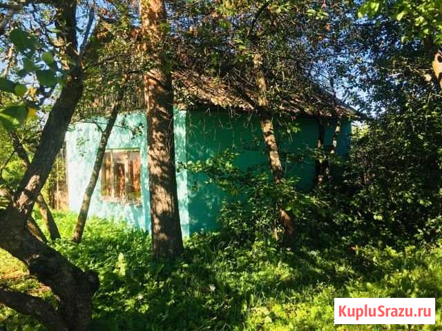 Дача 29 м² на участке 6 сот. на продажу в Великих Луках Великие Луки - изображение 2