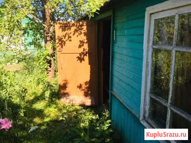 Дача 29 м² на участке 6 сот. на продажу в Великих Луках Великие Луки - изображение 3