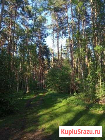 Дача 22 м² на участке 6 сот. на продажу в Кемерово Кемерово - изображение 1