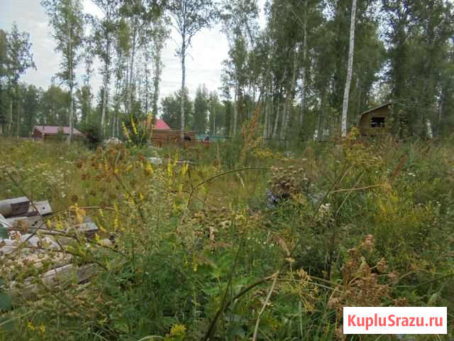 Участок СНТ, ДНП 12 сот. на продажу в Полетаево Полетаево - изображение 2