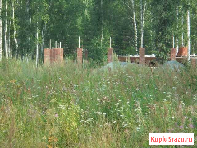 Участок СНТ, ДНП 12 сот. на продажу в Полетаево Полетаево - изображение 3
