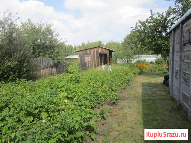 Дача 60 м² на участке 12 сот. на продажу в Кургане Курган - изображение 3