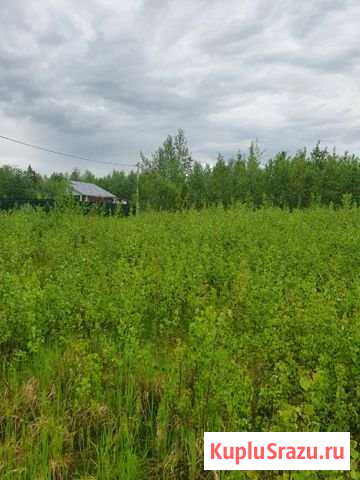 Участок СНТ, ДНП 16 сот. на продажу в Уваровке Уваровка - изображение 2