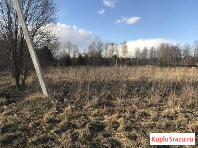 Участок ИЖС 14 сот. на продажу в Кудиново Кудиново - изображение 2