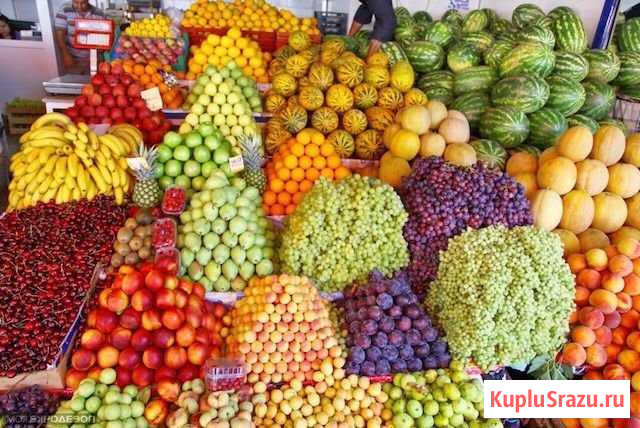 Сдаём продуктовые отделы Мурино - изображение 1