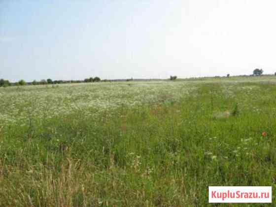Участок СНТ, ДНП 1190 сот. на продажу в Красноярске Красноярск