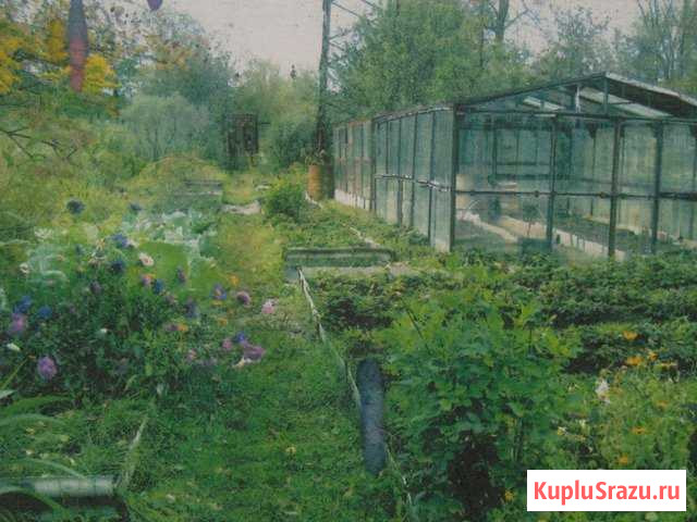 Дача 50 м² на участке 6 сот. на продажу в Перми Пермь - изображение 1