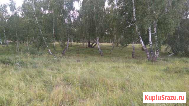 Участок ИЖС 12 сот. на продажу в Копейске Копейск - изображение 1