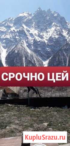 Дом 20 м² на участке 8 сот. на продажу в Алагире Алагир - изображение 1