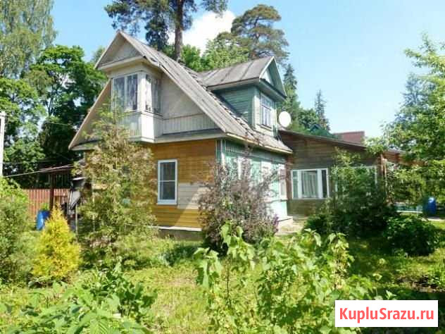 Дом 101.3 м² на участке 10.8 сот. на продажу в Сиверском Сиверский - изображение 1