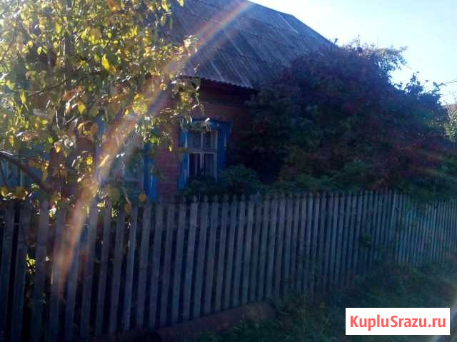 Дом 42 м² на участке 25 сот. на продажу в Киясово Киясово - изображение 2
