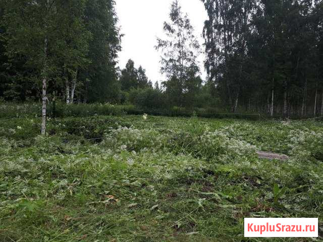 Участок СНТ, ДНП 8 сот. на продажу в Дружной Горке Дружная Горка - изображение 2