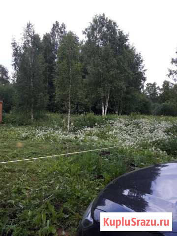 Участок СНТ, ДНП 8 сот. на продажу в Дружной Горке Дружная Горка - изображение 3