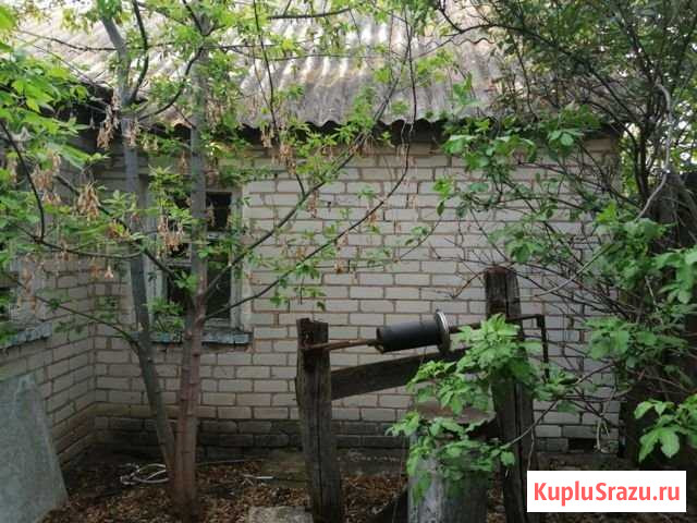 Дом 46 м² на участке 98 сот. на продажу в Короче Короча - изображение 3
